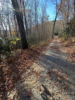 Tbd Greybeard Trail sold home in Mountain Retreat, Montreat, NC