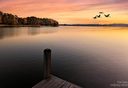 618 Fairway Shores Road sold home in Mount Gilead, SC
