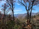 00 Blue Vista Road 2 sold home in Canton, SC