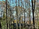 L 31a Skye Drive sold home in Pisgah Forest, SC