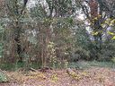 000 Vinton Street sold home in Charlotte, SC
