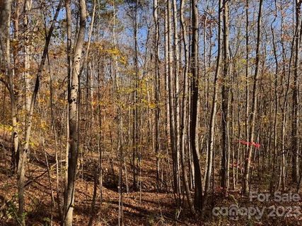 491 Patriots Way sold land listing in Mountain Brook, Clover, SC