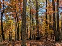Lot 28 Hidden Lake Parkway sold home in Nebo, SC