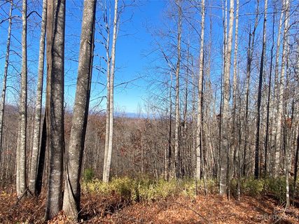 Tbd Meditation Ridge Drive active home in Hidden Lake, Nebo, NC