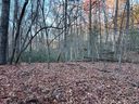 0 Rocky Mount Drive 52 sold home in Lake Lure, SC