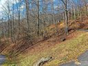 00 Basswood Cove sold home in Maggie Valley, SC