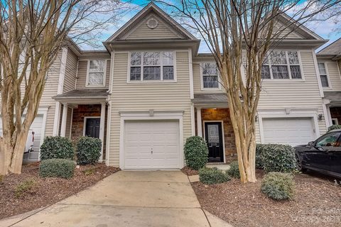 2119 Midnight Blue Lane