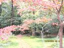 7033 Lakeside Drive sold home in Charlotte, SC