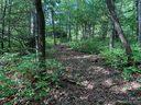 0000 Green Hollow Lane sold home in Brevard, SC