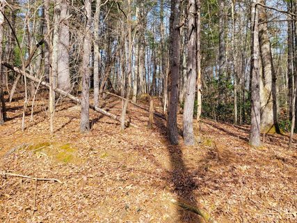 00000 Delacy Drive sold lot in Westbridge, Hendersonville, NC