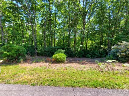 Tbd Pisgah Forest Drive 24-F
