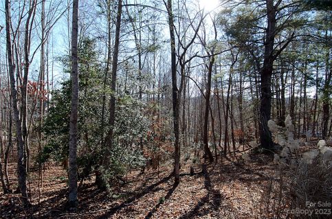 00 Wildwood Mountain Lane 10 sold lot in Wildwood Acres, Marion, NC