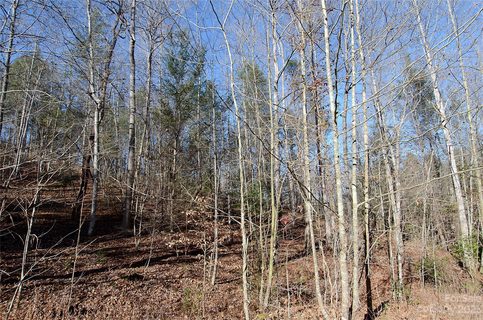 000 Wildwood Mountain Lane 19 sold lot in Wildwood Acres, Marion, NC