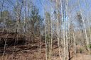 000 Wildwood Mountain Lane 19 sold home in Marion, SC