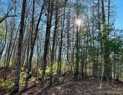 71 Turkey Trot Trail active lot in French Broad Crossing, Marshall, NC