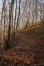 Lot 37 Sleepy Hollow Drive sold home in Waynesville, SC
