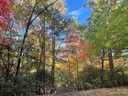 56 Wilson Court sold home in Lake Lure, SC