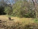 2016 Wilson Avenue sold home in Charlotte, SC