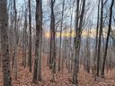 22 Amelia Lane sold home in Bostic, SC