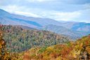 1200 Arcadia Falls Way 110 sold home in Black Mountain, SC