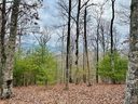 275 Raccoon Run 24 sold home in Marshall, SC