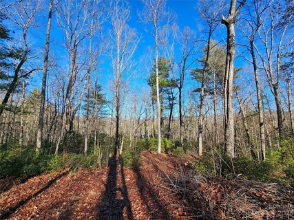 100 Big Bear Trail sold home in Rock Creek, Zirconia, NC