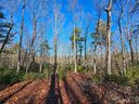 100 Big Bear Trail sold home in Zirconia, SC