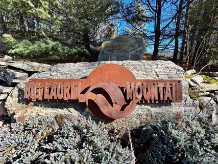 278 Wild Iris Lane 46 sold lot in Big Laurel Mountain, Marshall, NC