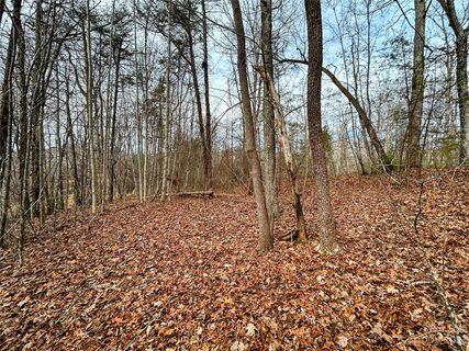 Lot 1 Azalea Way sold home in Little Warrior Mtn Estates, Saluda, NC