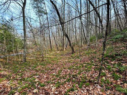 Lot 7 Azalea Way active home in Little Warrior Mtn Estates, Saluda, NC
