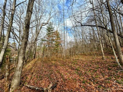 Lot 8 Azalea Way active home in Little Warrior Mtn Estates, Saluda, NC