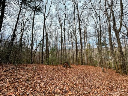 Lot 11 Rhododendron Drive active home in Little Warrior Mtn Estates, Saluda, NC