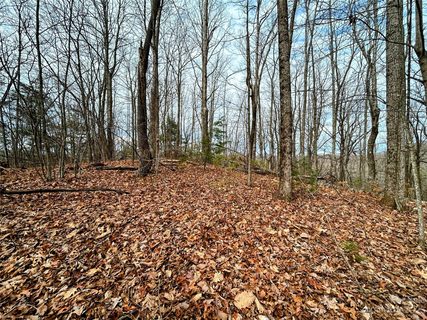 Lot 12 Rhododendron Drive active home in Little Warrior Mtn Estates, Saluda, NC