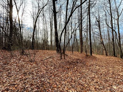 Lot 13 Rhododendron Drive sold home in Little Warrior Mtn Estates, Saluda, NC