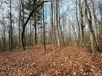 Lot 14 Rhododendron Drive active home in Little Warrior Mtn Estates, Saluda, NC