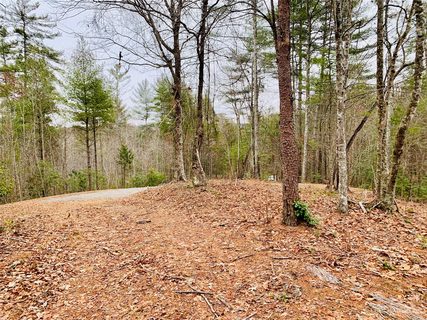 5 24 Acres Lot 87 Round Mountain Parkway