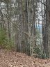 Lot 29 Waters Edge Drive sold home in Nebo, SC