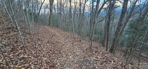 Lot 9 Seay Mountain Road active home in Seay Mountain, Waynesville, NC