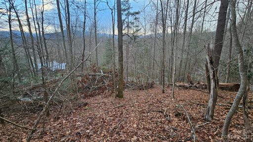 Lot 13 Seay Mountain Road active home in Seay Mountain, Waynesville, NC