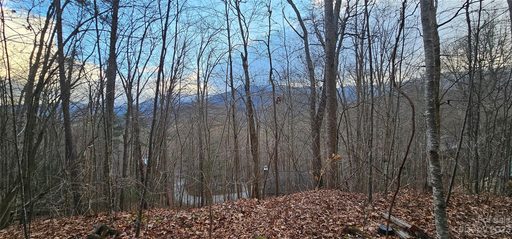 Homes in Seay Mountain, Waynesville