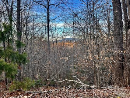 Lot 79 Big Branch Drive