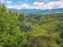 98 Cottage Settings Lane 288 sold home in Black Mountain, SC