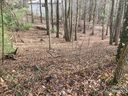 0 Summer Savory Court 66 sold home in Flat Rock, SC