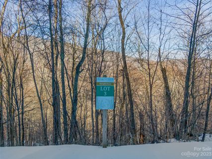 Lot 3 Mountain Gait Drive active home in The Preserve At Wolf Laurel, Mars Hill, NC