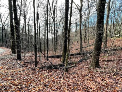 0 Hickory Acres Road 40 & 41 sold lot in Hickory Acres, Hendersonville, NC