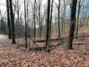 0 Hickory Acres Road 40 & 41 sold home in Hendersonville, SC