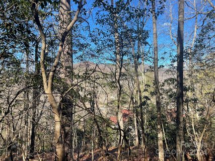 146 Center Street active home in Ridgecrest, Black Mountain, NC