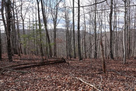79 Longview Trail sold lot in The Summit, Bostic, NC