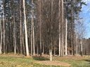 6208 Hollow Oak Drive 86 sold home in Mint Hill, SC