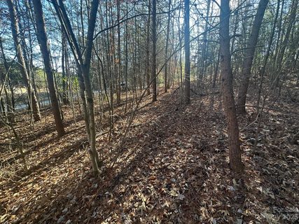 000 Champagne Ridge sold lot in The Vineyards of Lake Lure, Lake Lure, NC